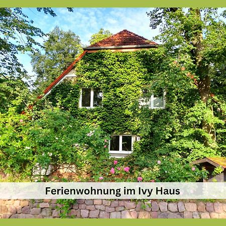 شقة Ivy Haus فالكنزيه المظهر الخارجي الصورة