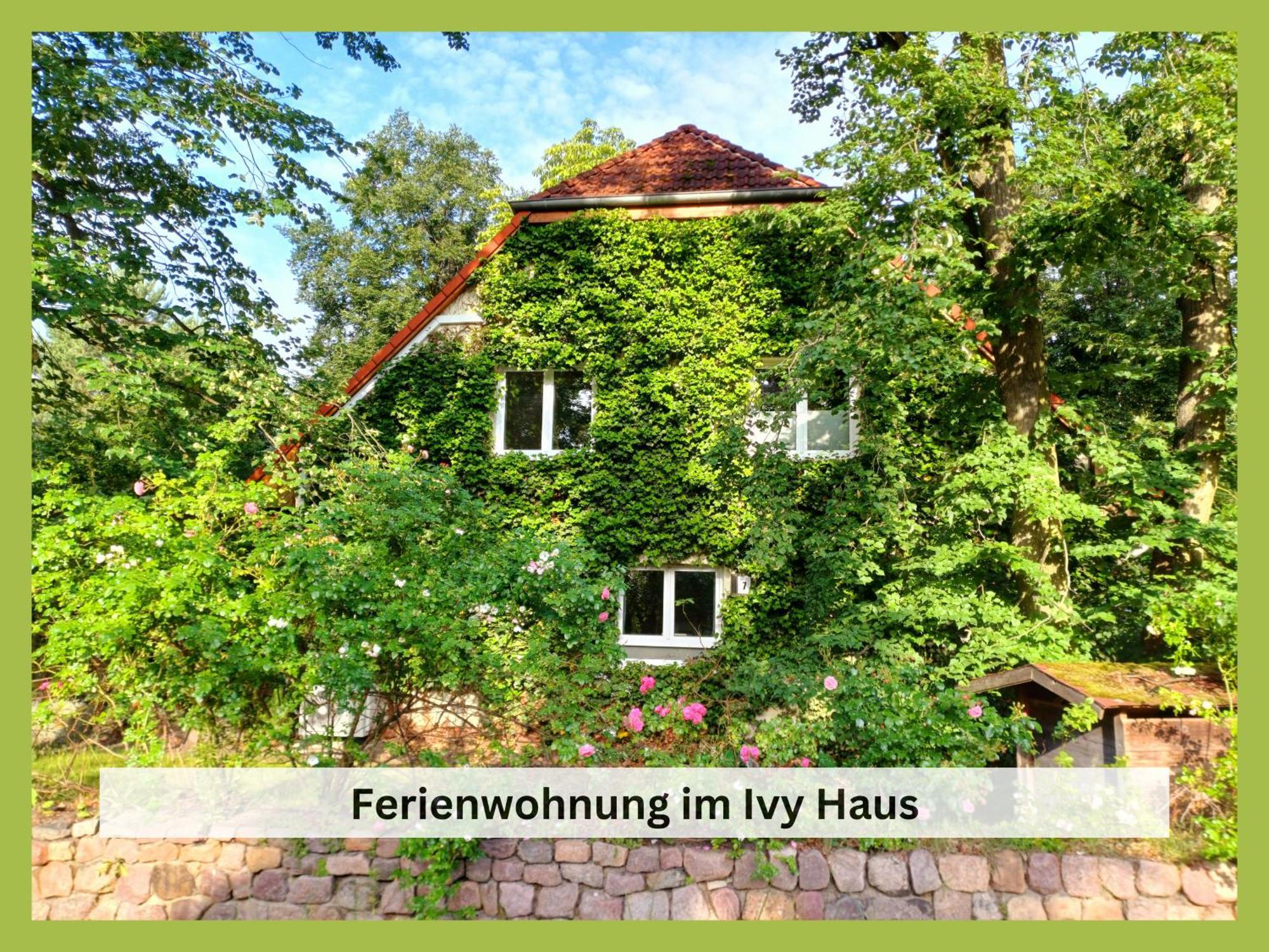 شقة Ivy Haus فالكنزيه المظهر الخارجي الصورة